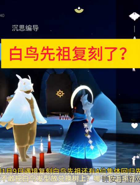 光遇表演季白鸟获取全攻略,解锁步骤与高效技巧揭秘