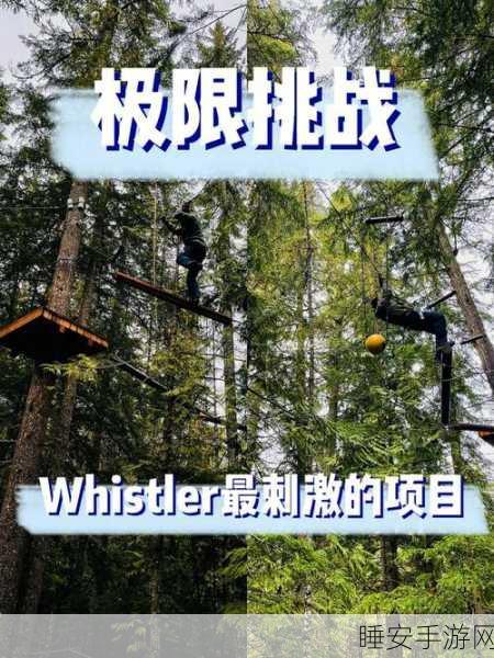 拉链快跑手游,趣味横生的竞速盛宴,挑战你的反应极限!