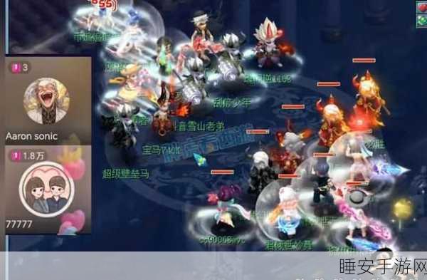 梦幻西游手游,宠物协作战术深度剖析,共伤共担打造无敌战队