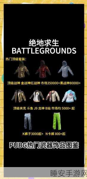 绝地求生正版手游上线,收费模式与精彩赛事全解析