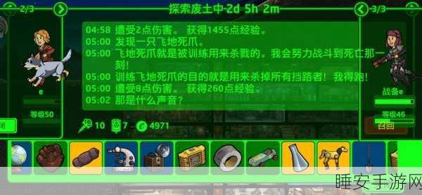 辐射避难所,高效升级秘籍,解锁顶级角色战力!