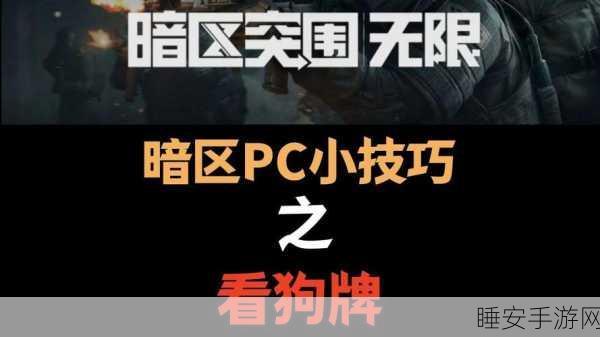 暗区突围深度解析,身份牌与狗牌的战略价值与应用技巧