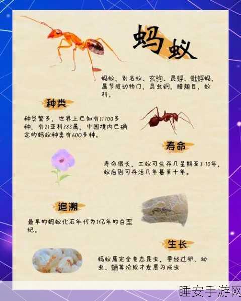 蚂蚁生活安卓最新版上线,探索微观世界的奇妙之旅