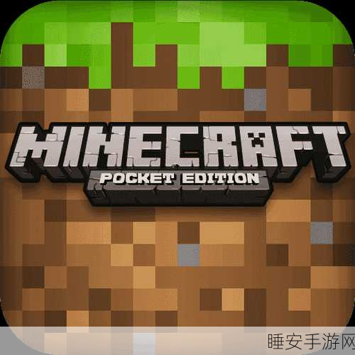 我的世界手机版国际版，破解登录难题，畅享无限创造！