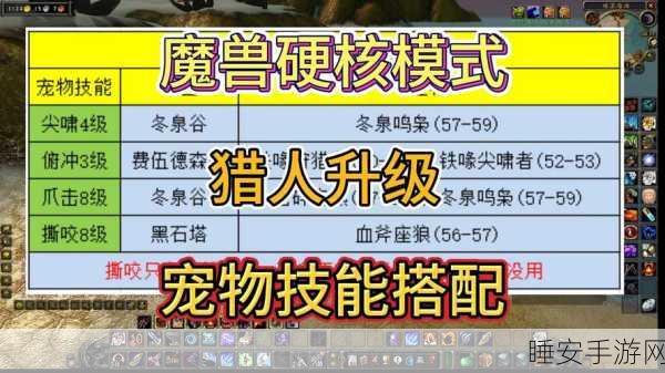 魔兽世界手游版宠物速升25级攻略,高效养成秘籍