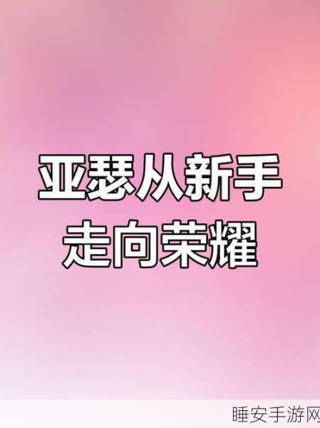 王者荣耀逆袭记,揭秘从王者到青铜的奇特之旅