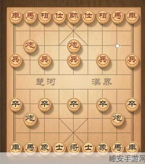 象棋巅峰对决,揭秘神将争锋象棋大赛荣耀征程及冠军之路