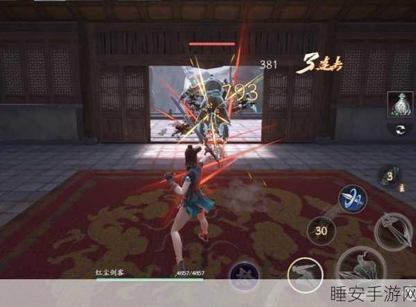 流星蝴蝶剑秘籍全解析,高手进阶与实战应用指南