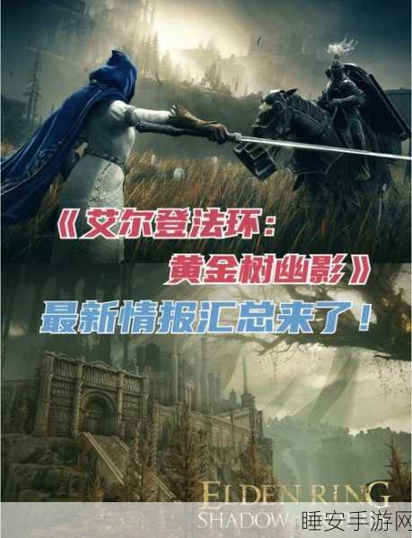 艾尔登法环远程攻击高手揭秘,神秘角色竟是他,技能详解与实战分析