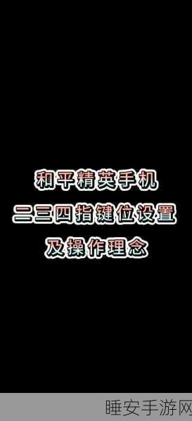 和平精英高手秘籍,深度解析自定义布局设置,助你赛场称雄