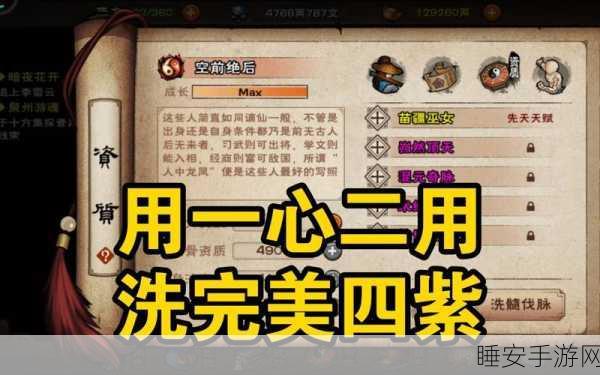 烟雨江湖紫脉序列全揭秘,角色潜能最大化攻略