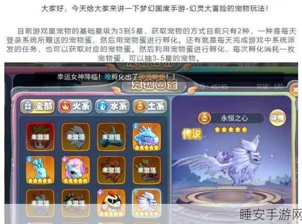 梦幻西游手游,揭秘吉里吉里珍稀宠物的获取攻略