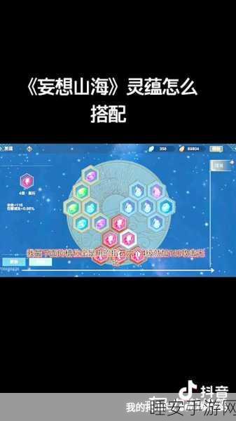 妄想山海,灵蕴搭配极致攻略,揭秘伤害飙升的必胜策略