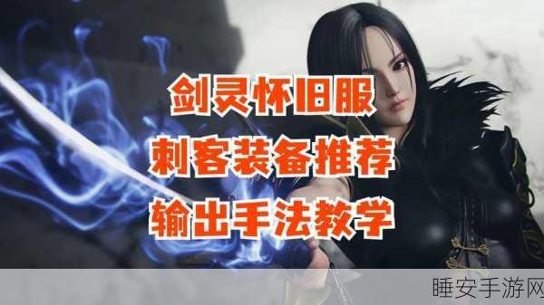 刺客荣耀,揭秘剑灵手游顶尖刺客装备搭配策略
