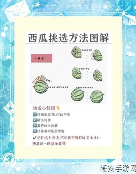 咸鱼之王,揭秘西瓜角色的获取攻略与独家赛事细节
