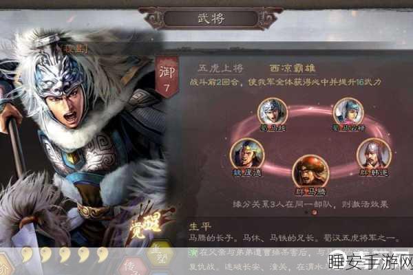 三国志战略版,揭秘提升主动战法发动几率的绝技,助你战场称雄!
