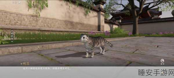 天涯明月刀手游，揭秘猫之友任务攻略与趣味细节