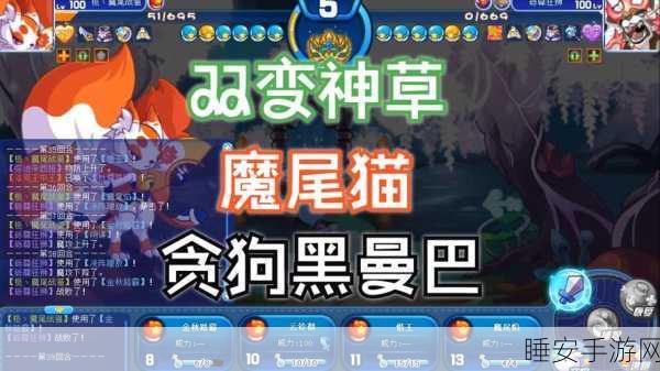 洛克王国深度揭秘,黑猫巫师超进化全攻略