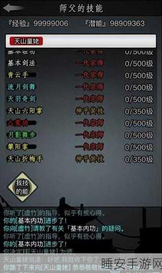 放置江湖,揭秘至高剑法,精通资源管理策略