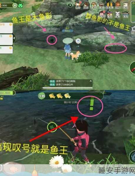 手游攻略,揭秘小森生活鲤鱼王捕捉绝技,30大分布点全掌握!