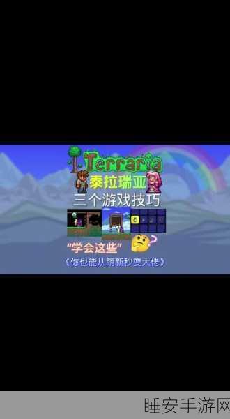泰拉瑞亚新挑战,蜜蜂金枪鱼美食冒险赛,探索味蕾与未知的双重奇遇