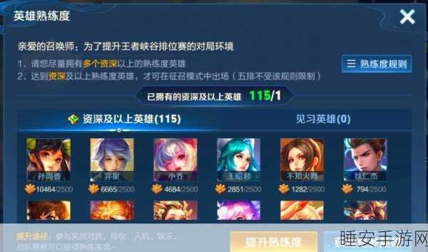 王者荣耀贵族等级隐藏攻略,轻松关闭贵族标识,享受低调奢华游戏之旅