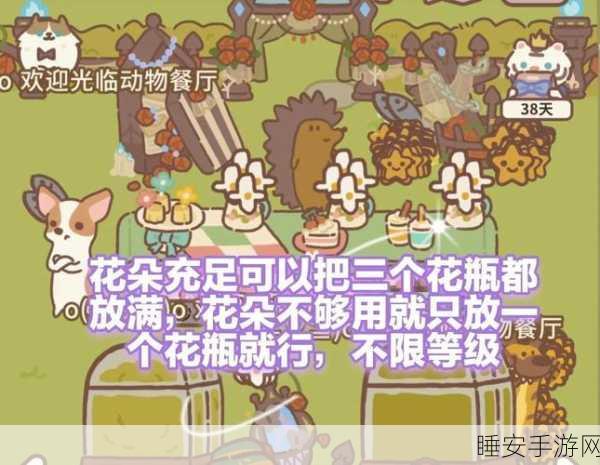 手游福利大放送,动物餐厅百变招财猫全攻略,解锁财富秘籍!