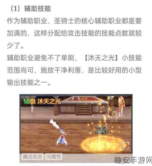 圣骑士光环选择指南,揭秘最实用的战斗增益