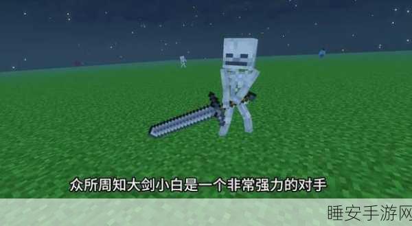 我的世界,小白之箭的拾取艺术