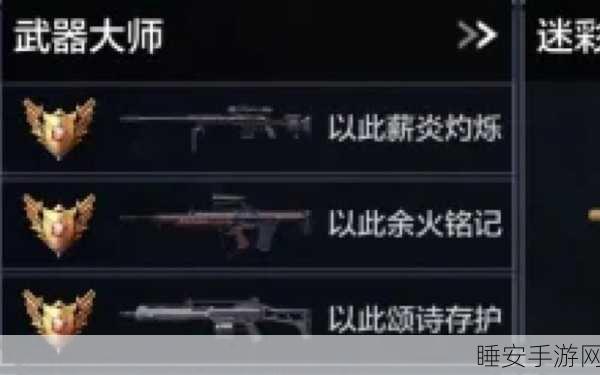 使命召唤速成攻略,解锁武器大师称号的秘诀