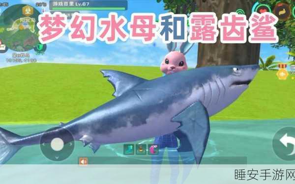 手游新探秘,阳光岛秘境的奇幻创造与魔法大赛