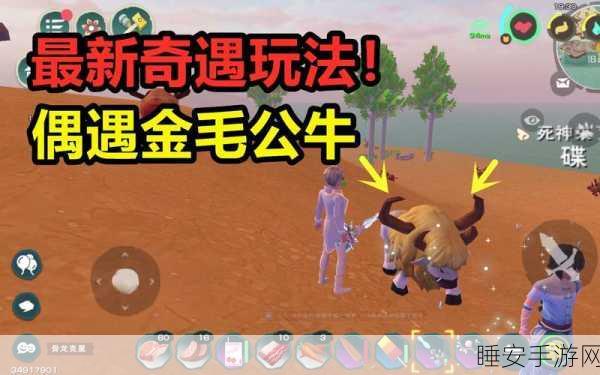 揭秘创造与魔法,面包岛探险大赛,探索未知乐园的奇幻之旅