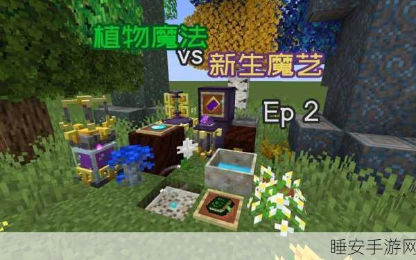 手游资讯,我的世界植物魔法大赛——揭秘产能最快花朵!