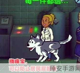 辐射避难所,高效合并房屋技巧全揭秘