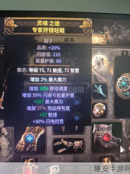 深度解析,流放之路领袖代价与2技能项链,哪个更胜一筹?