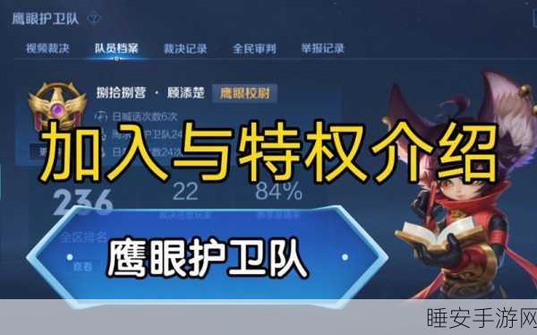王者荣耀鹰眼护卫队深度揭秘,申请流程、职责使命与尊享特权全攻略