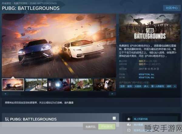 绝地求生Steam版深度解析,揭秘游戏属性与赛事精彩瞬间