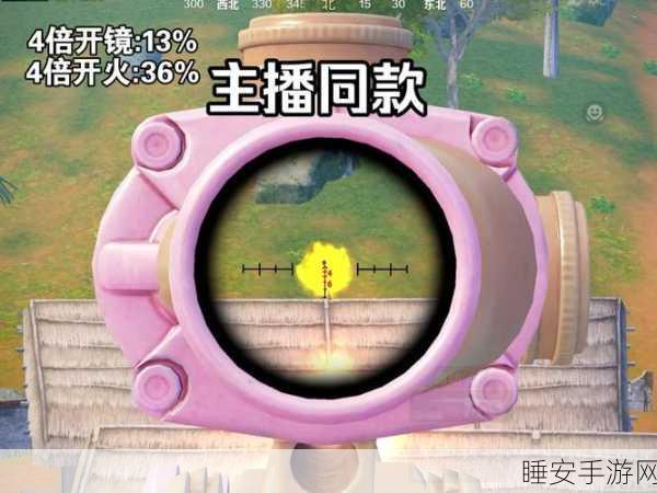 揭秘和平精英小眼睛视角卡顿之谜,高手竞技中的微妙差异