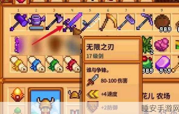银河剑星露谷,探索未知的剑术传奇