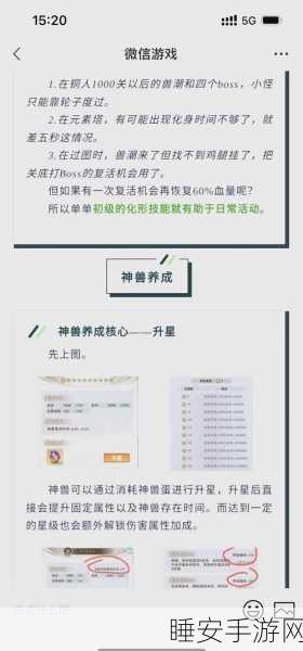 魔域神兽全攻略,揭秘高效获取与培养神兽的独门秘籍