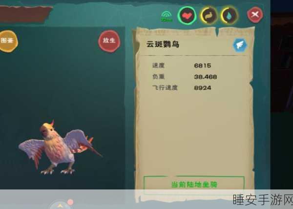 路行鸟捕捉攻略,创造与魔法中刷新地点与时间全揭秘