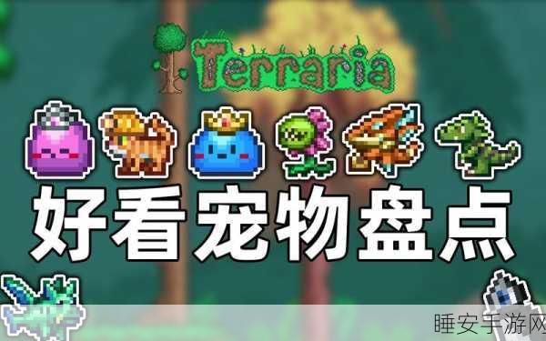 泰拉瑞亚顶尖照明宠物大盘点,探索黑暗的最佳伙伴