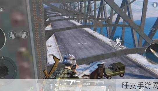 和平精英高手攻略,揭秘桥上堵桥战术与实战技巧