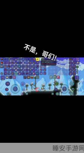 泰拉瑞亚高手秘籍,揭秘无伤战斗骗伤害技巧与实战应用
