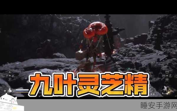 黑神话悟空,九叶灵芝精精魄获取全攻略,揭秘稀有材料背后的秘密