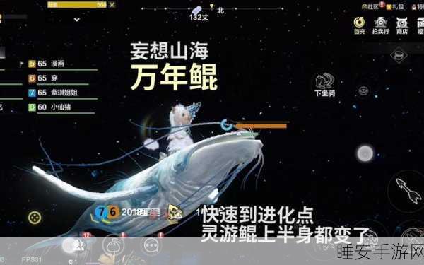 妄想山海,揭秘鲲进化成鹏的奇幻之旅及进化大赛详情