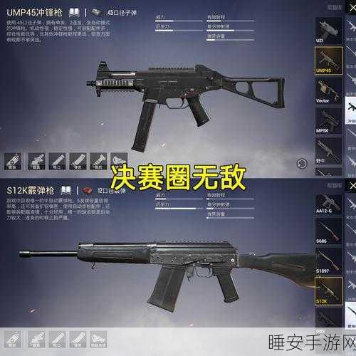 和平精英谁是内鬼模式,揭秘持枪策略与实战技巧
