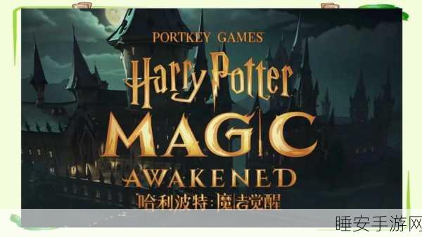 哈利波特魔法觉醒,揭秘格兰芬多学院的入学秘籍与精彩赛事