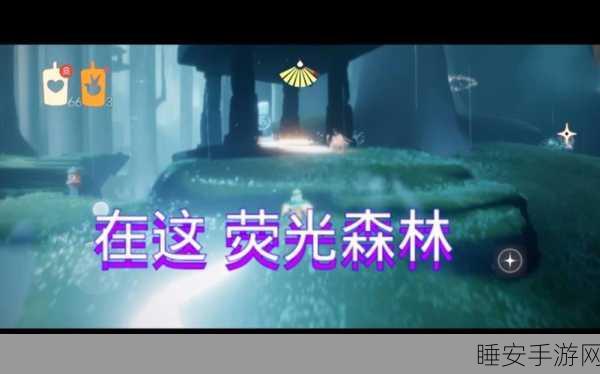 光遇荧光森林冥想深度解析,探索心灵之旅的奥秘