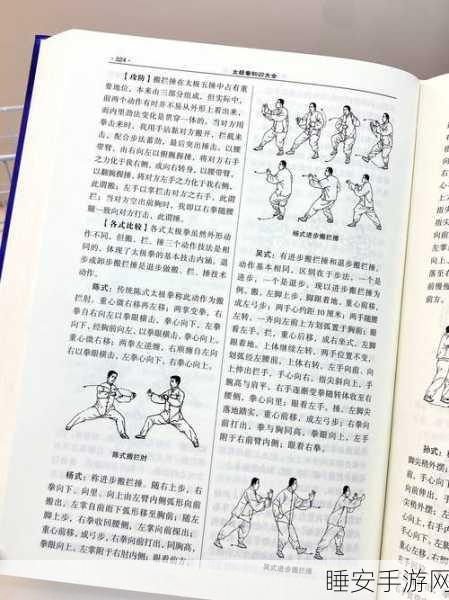 太极熊猫竞技场秘籍，高手详解免伤穿搭策略，助你称霸擂台